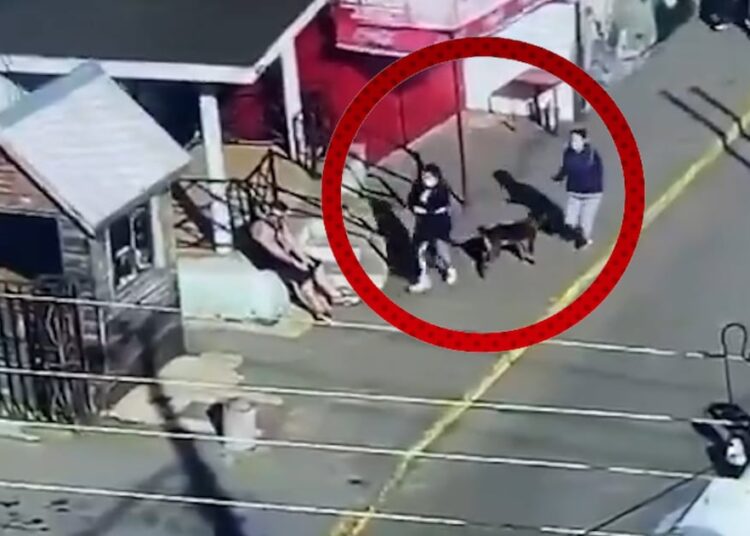 Dejan en prisión preventiva a madre que sustrajo a su hija de 19 días desde hospital en Coronel