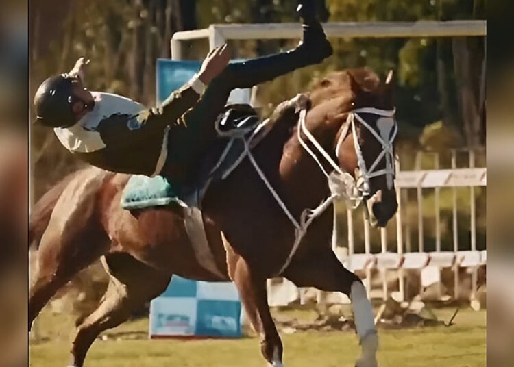 Actualizan estado de salud de carabinero accidentado tras caer de su caballo en el Parque Padre Hurtado