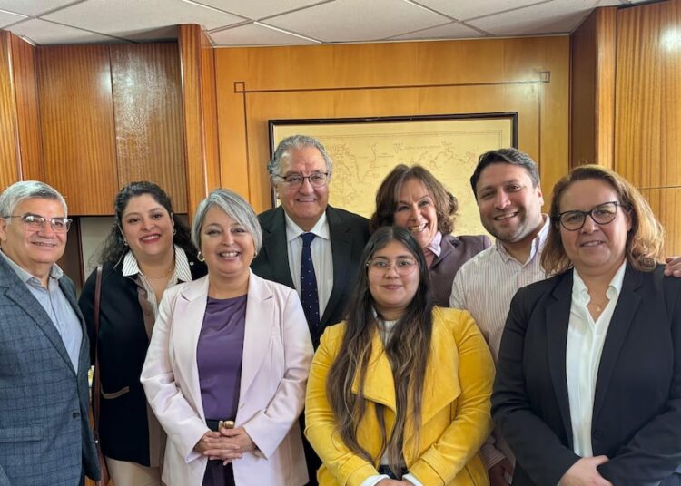 Incomodidad DC por aborto opaca anuncio programático de Jara