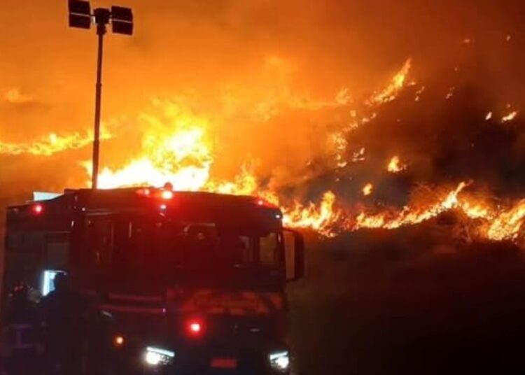 Incendio forestal afecta a ladera de cerro Renca