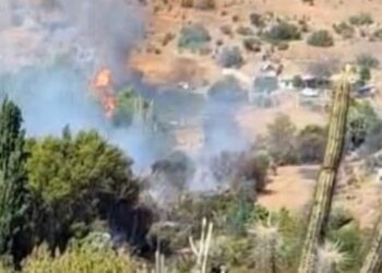 Declaran alerta roja por incendio forestal en Combarbalá: fuego amenaza a viviendas cercanas