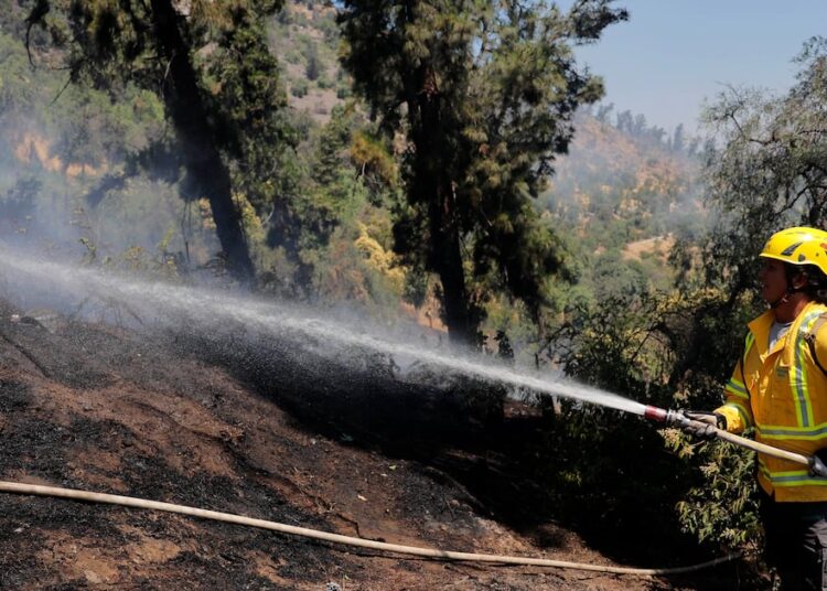 Alerta roja en Melipilla por incendio forestal: Senapred pide evacuar sector Culiprán