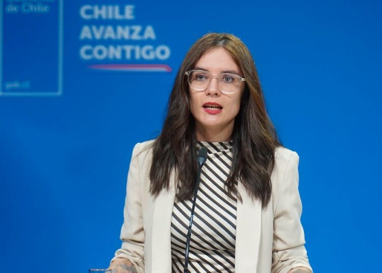 Ministra Vallejo defiende gestión del Gobierno y apunta que “se dedicó principalmente a estabilizar el país”