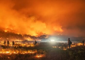 Dos lesionados, una vivienda destruida y 100 hectáreas arrasadas deja incendio forestal en Zapallar
