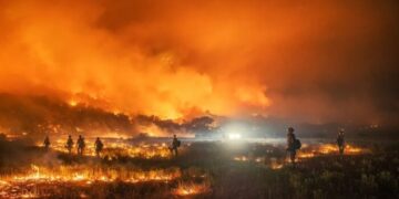 Dos lesionados, una vivienda destruida y 100 hectáreas arrasadas deja incendio forestal en Zapallar