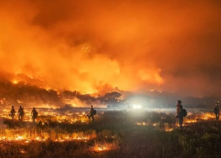 Dos lesionados, una vivienda destruida y 100 hectáreas arrasadas deja incendio forestal en Zapallar