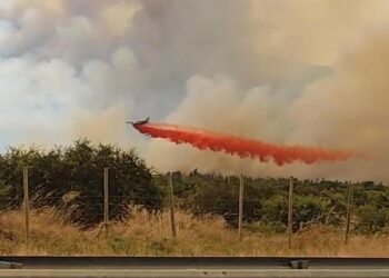 Solicitan evacuar siete sectores de la comuna de Maule producto de incendios forestales: focos han destruido 685 hectáreas