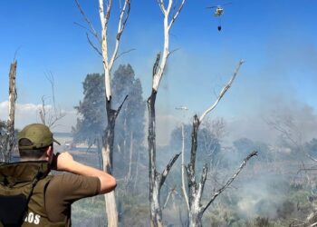 Incendios forestales en la zona central: condiciones climáticas adversas marcan este sábado
