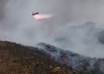 Incendios forestales no dan respiro: bombero fallece en Litueche y llamas acecharon el estadio Claro Arena en Las Condes