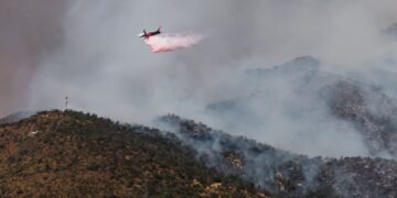 Incendios forestales no dan respiro: bombero fallece en Litueche y llamas acecharon el estadio Claro Arena en Las Condes