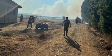 Senapred declara alerta roja para Mulchén por incendio forestal potenciado por condiciones climáticas: solicitan evacuación de dos sectores