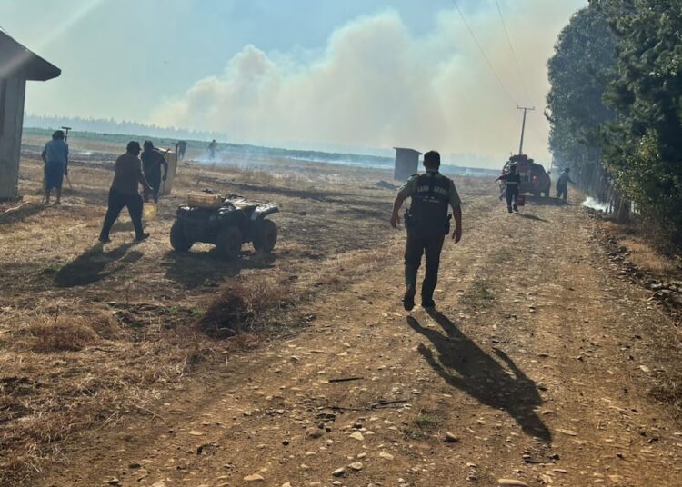 Senapred declara alerta roja para Mulchén por incendio forestal potenciado por condiciones climáticas: solicitan evacuación de dos sectores