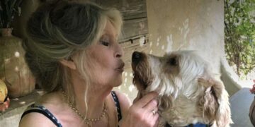 “La fama es maravillosa e insoportable, no me importa que me recuerden”: cómo fueron los años finales de Brigitte Bardot