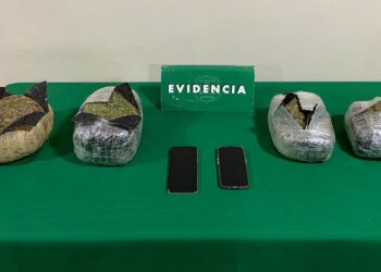 Puerto Varas: Carabineros decomisa más de $20 millones en droga y detiene a dos menores