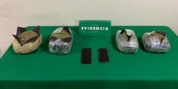 Puerto Varas: Carabineros decomisa más de $20 millones en droga y detiene a dos menores