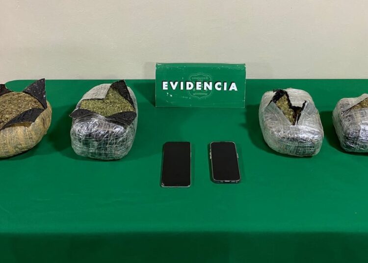 Puerto Varas: Carabineros decomisa más de $20 millones en droga y detiene a dos menores