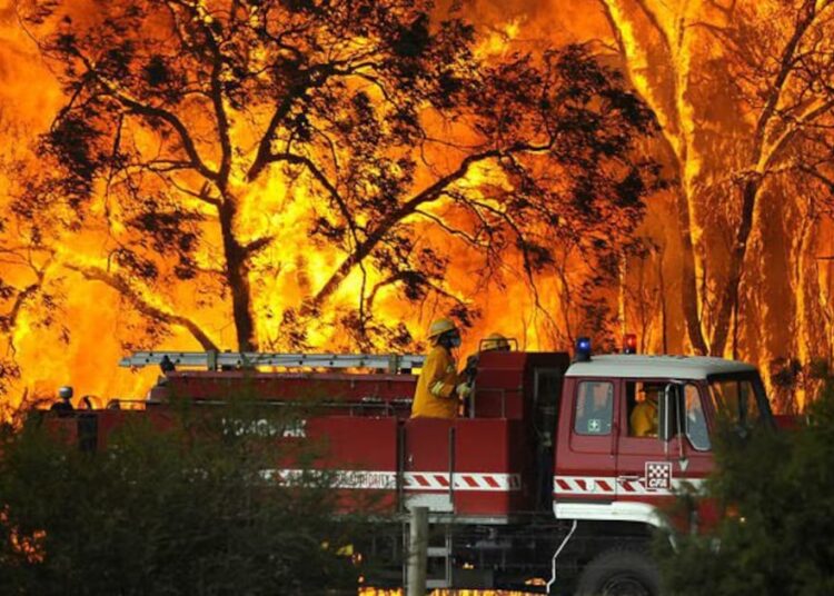 Australia declara estado de desastre: más 300.000 hectáreas han sido arrasadas por incendios en Victoria