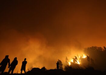 Incendios forestales en el Ñuble y el Biobío: lo último que se sabe