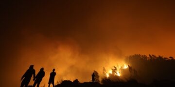 Incendios forestales en el Ñuble y el Biobío: lo último que se sabe