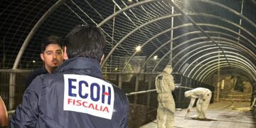 Ataque armado con 17 disparos deja tres heridos en pasarela que cruza de Puente Alto a La Pintana