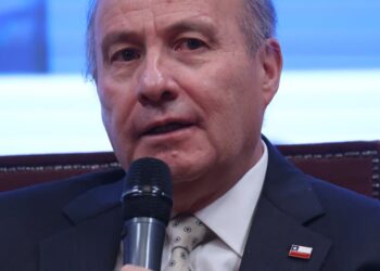 Quiroz sostiene que reconstrucción de Ñuble y Biobío “no se va a afectar” por reajuste fiscal