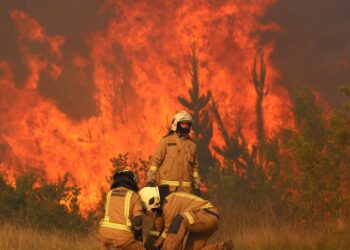 Declaran alerta roja en Collipulli por incendio forestal fuera de control