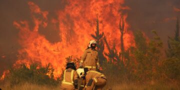 Declaran alerta roja en Collipulli por incendio forestal fuera de control