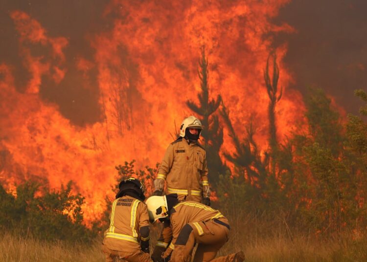Declaran alerta roja en Collipulli por incendio forestal fuera de control