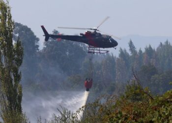 Qué significa el estado de catástrofe decretado por el Presidente Boric tras los incendios en Ñuble y Biobío