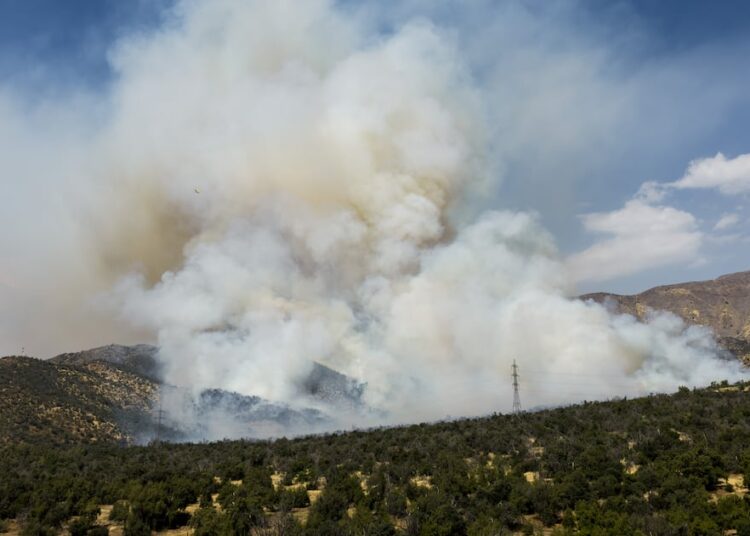 Un total de nueve incendios forestales se mantienen en combate a nivel nacional