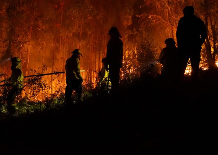 Biobío, Ñuble y La Araucanía suman más del 75% de las hectáreas quemadas por los incendios forestales en 2025-2026