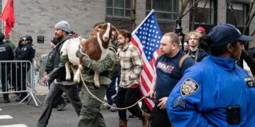 Detectan explosivos en objetos lanzados contra la residencia del alcalde de Nueva York