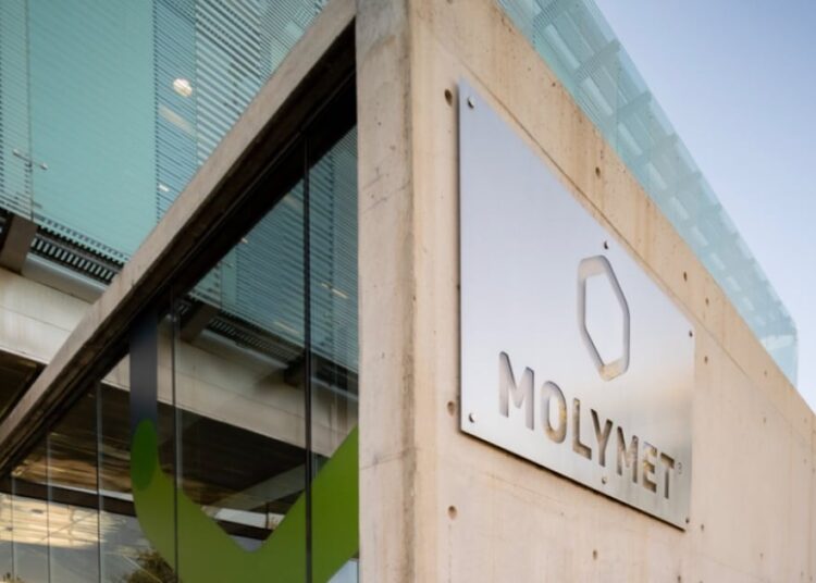 Grupo Matte sale de la propiedad de Molymet