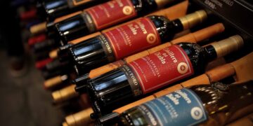 Concha y Toro ha invertido más de US$50 millones en nuevos negocios desde 2017 y casi US$580 millones en total